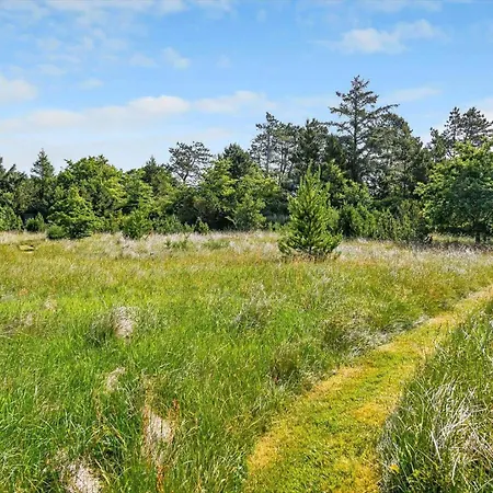 Bv249-blavand-fynsland-27 * ブラーバンド