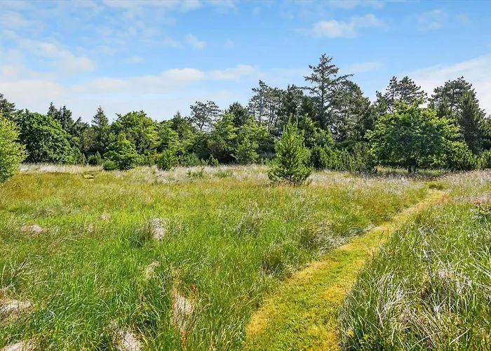 Bv249-blavand-fynsland-27